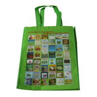 岳阳LB11覆膜无纺布广告袋